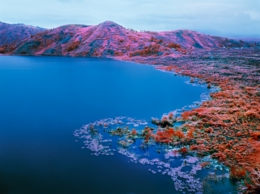 02-Beaucoups Of Blues L72x90 S40x50.jpg