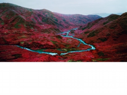 07-Love Is The Drug L110x210 S50x96.jpg