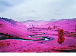 13-Platon L72x90 S40x50.jpg